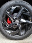 IMG_20241029_160055.jpg