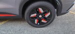IMG_20241219_165001.jpg